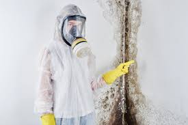 Royal Hawaiian Estates, HI Mold Remediation Company